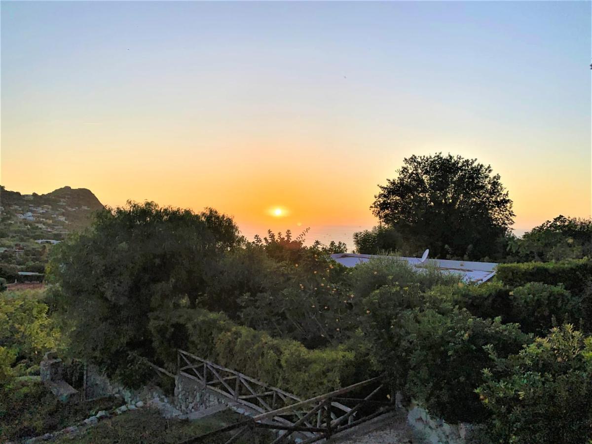 Con Giardino Esclusivo Di 1000 Mq, Piscina, Tennis, Calcio, Bocce Villa Forio (Isola d'Ischia)
