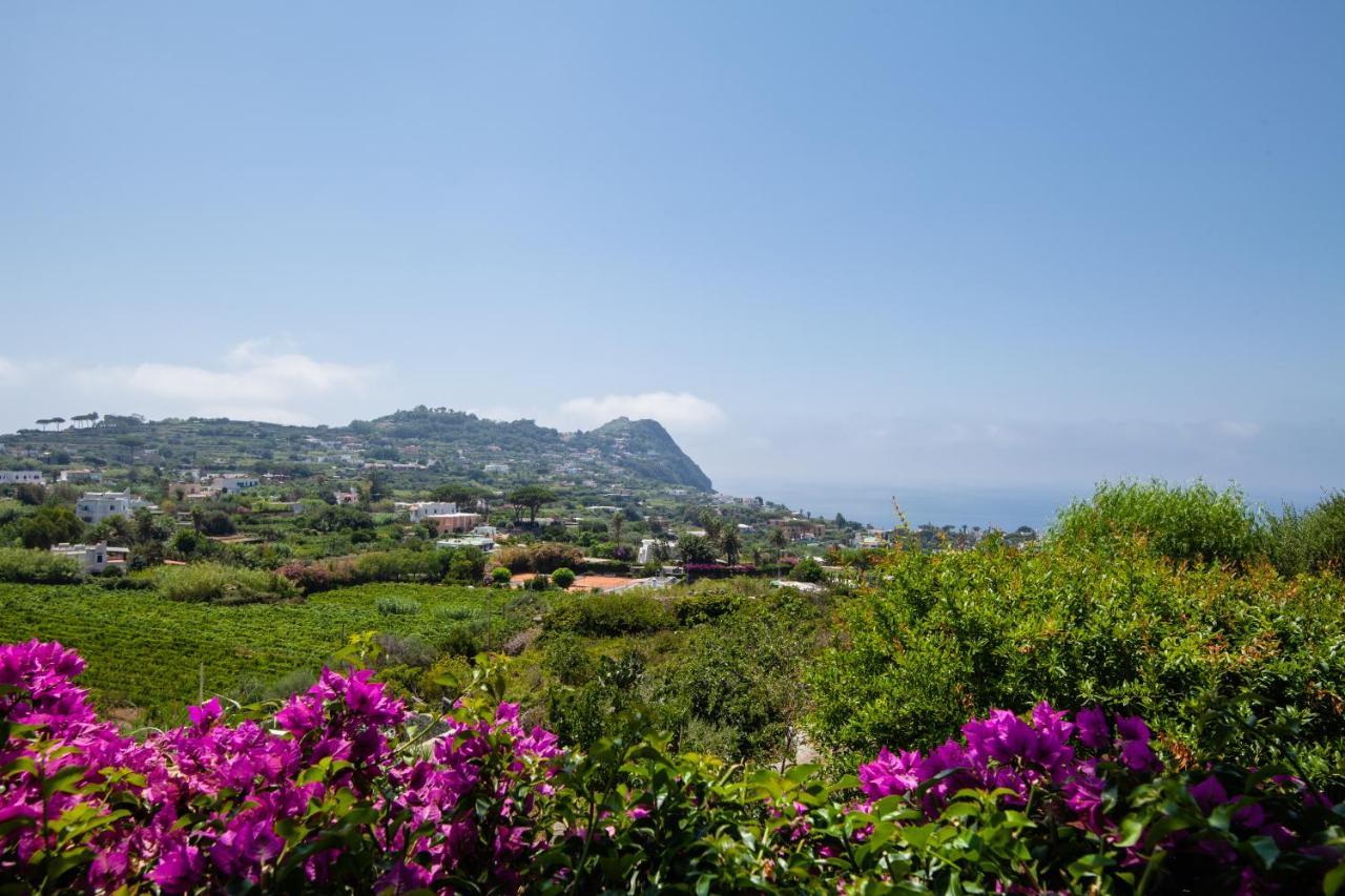 Villa Con Giardino Esclusivo Di 1000 Mq, Piscina, Tennis, Calcio, Bocce