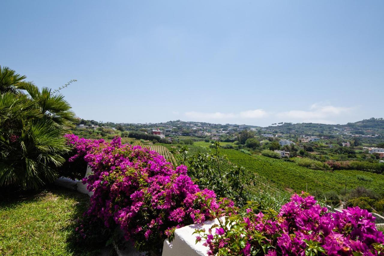 Villa Con Giardino Esclusivo Di 1000 Mq, Piscina, Tennis, Calcio, Bocce *