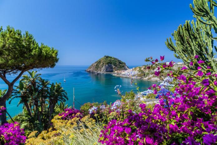 Villa Con Giardino Esclusivo Di 1000 Mq, Piscina, Tennis, Calcio, Bocce Forio (Isola d'Ischia)