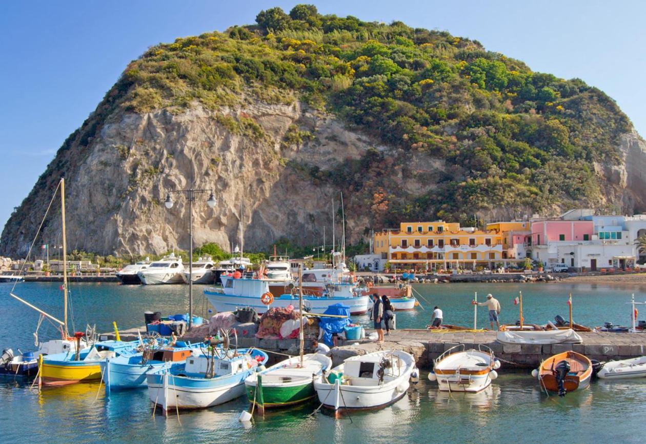 Con Giardino Esclusivo Di 1000 Mq, Piscina, Tennis, Calcio, Bocce Forio (Isola d'Ischia)