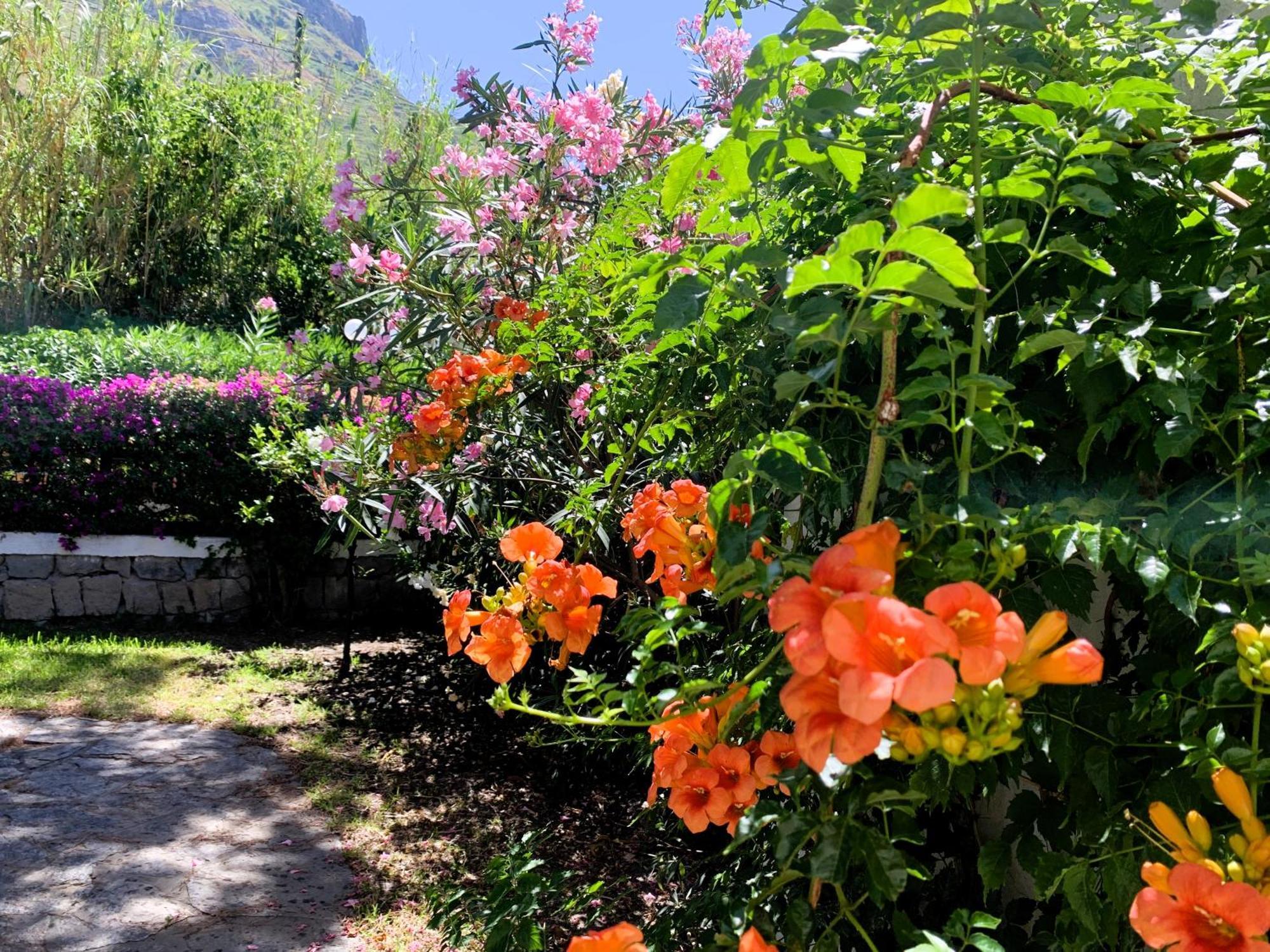 Con Giardino Esclusivo Di 1000 Mq, Piscina, Tennis, Calcio, Bocce * Forio (Isola d'Ischia)
