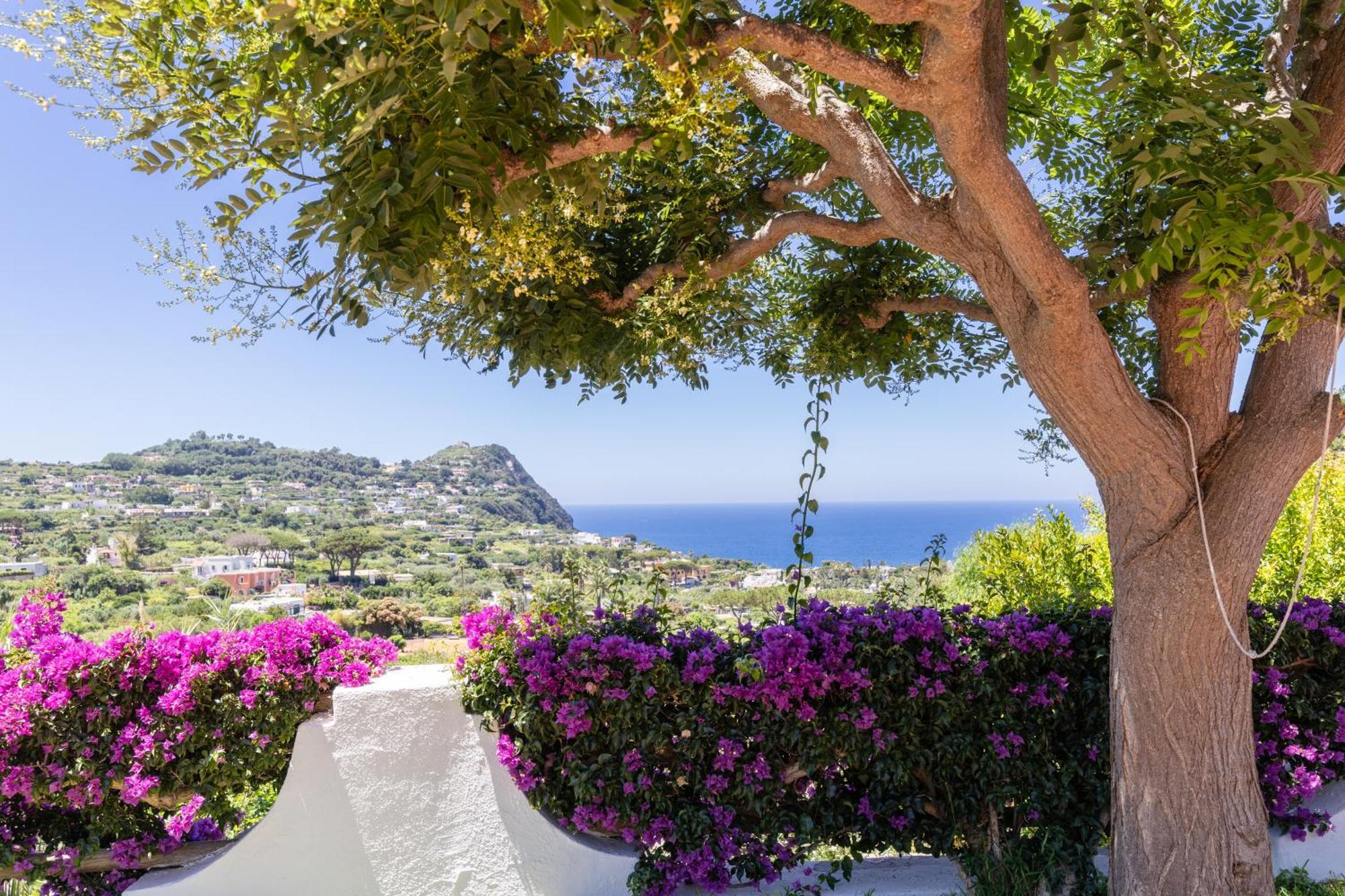 Villa Con Giardino Esclusivo Di 1000 Mq, Piscina, Tennis, Calcio, Bocce *