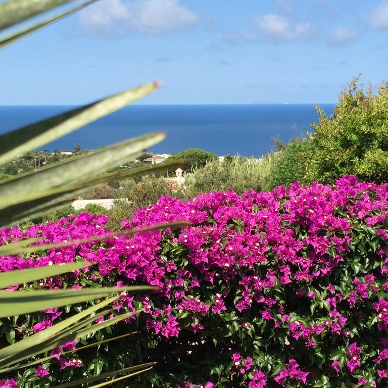 Con Giardino Esclusivo Di 1000 Mq, Piscina, Tennis, Calcio, Bocce * Forio (Isola d'Ischia)
