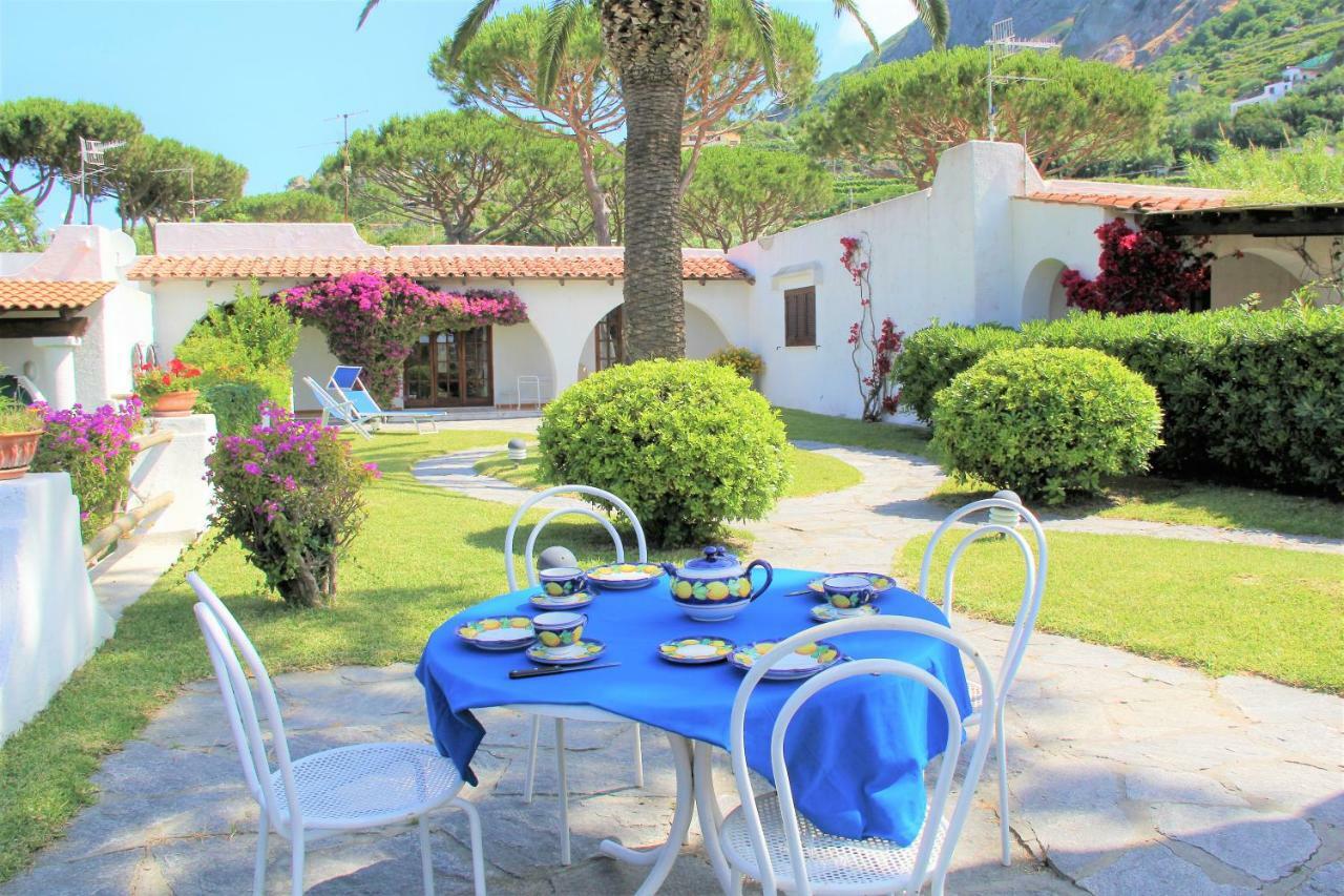 Con Giardino Esclusivo Di 1000 Mq, Piscina, Tennis, Calcio, Bocce Villa Forio (Isola d'Ischia)