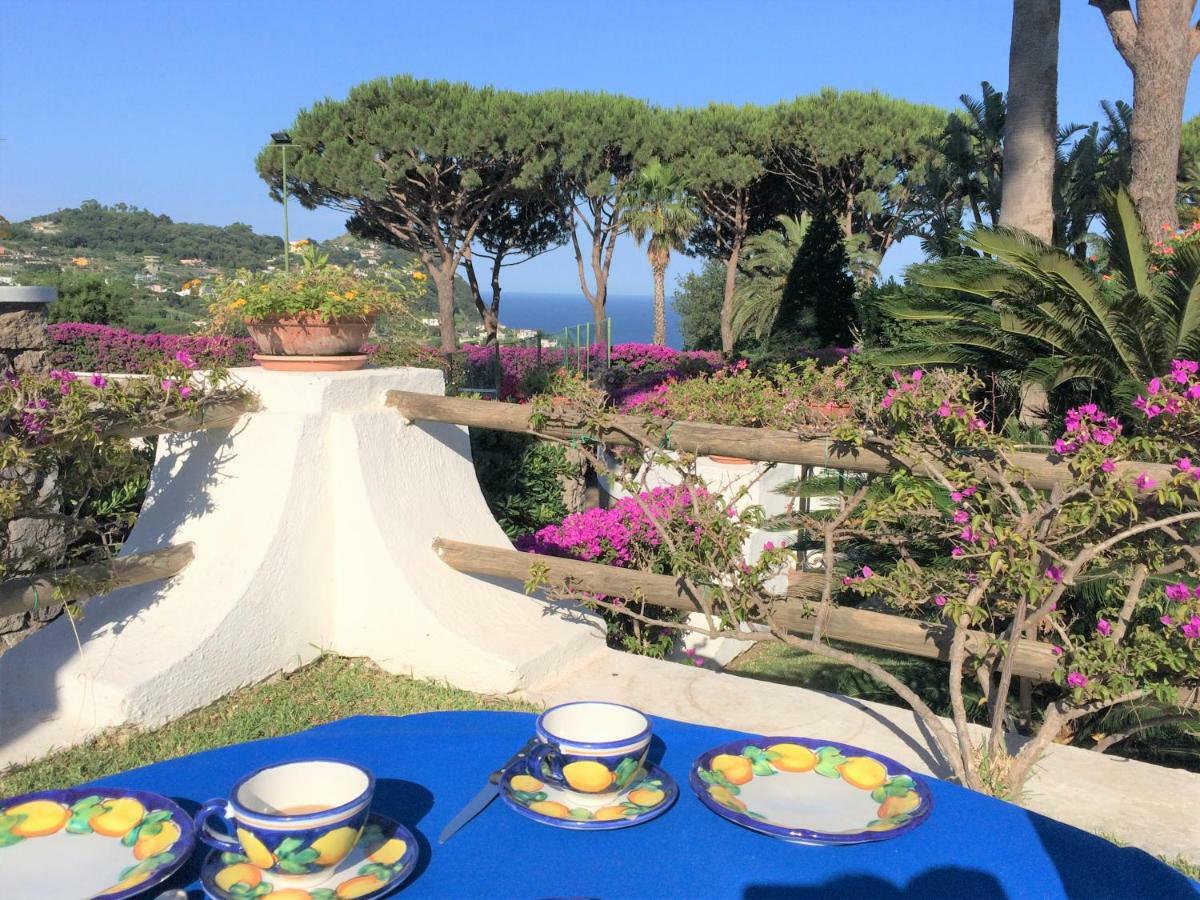 Villa Con Giardino Esclusivo Di 1000 Mq, Piscina, Tennis, Calcio, Bocce Forio (Isola d'Ischia)