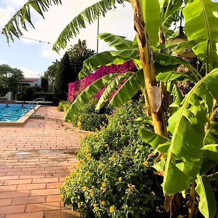 Villetta Con Giardino Esclusivo Di 1000 Mq, Piscina, Tennis, Calcio, Bocce Forio  Exterior photo