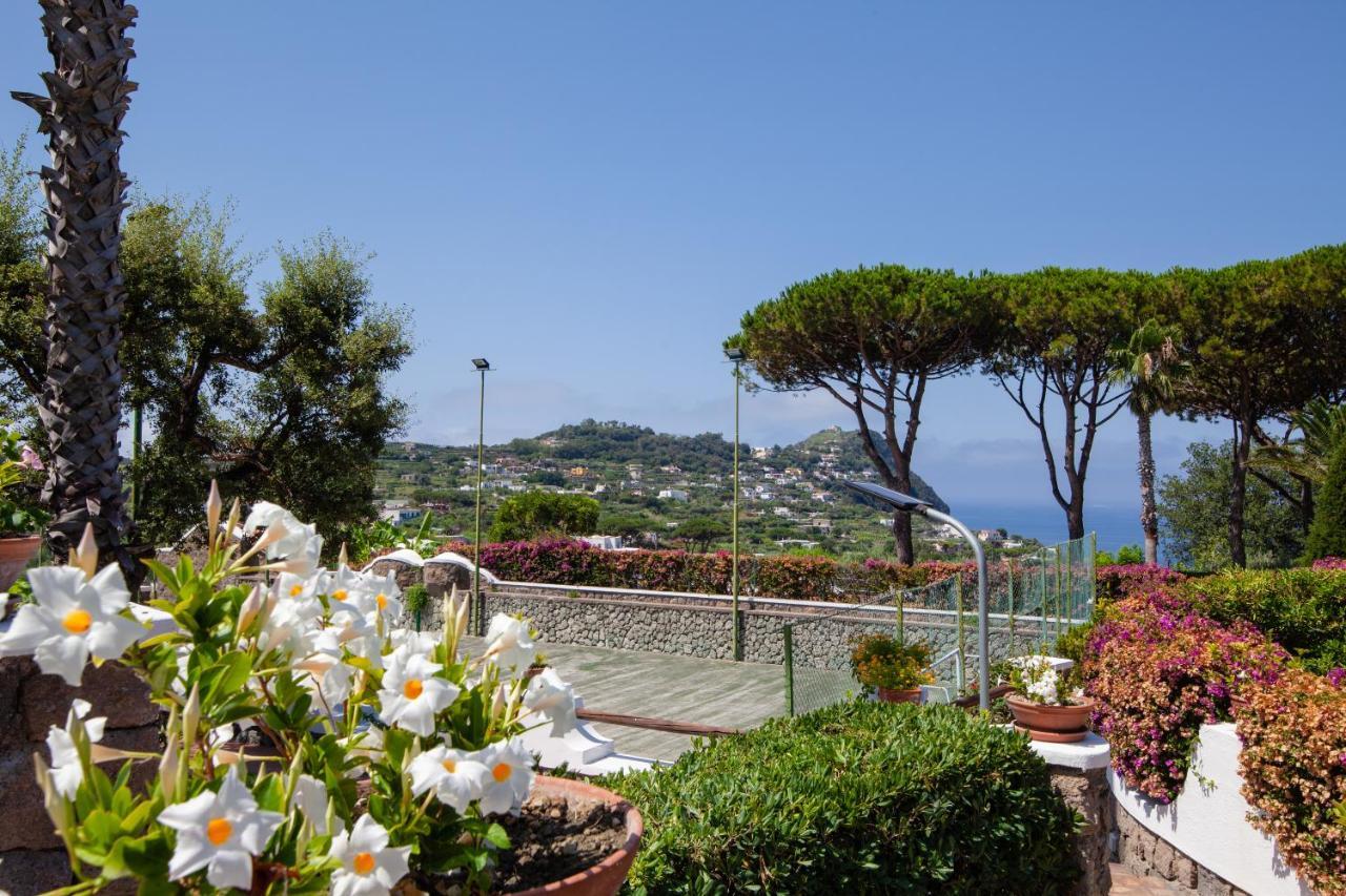 Villa Con Giardino Esclusivo Di 1000 Mq, Piscina, Tennis, Calcio, Bocce *